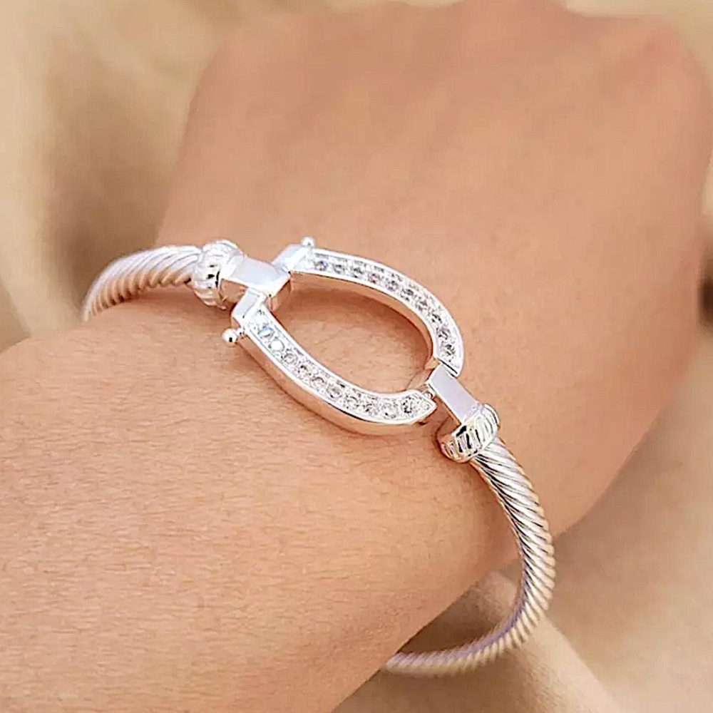 Sterling Silver Horseshoe Design Zircon Twisted Bangle Bracelet - Picture 10 of 13